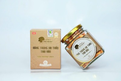 Đông trùng hạ thảo sấy thăng hoa 10g